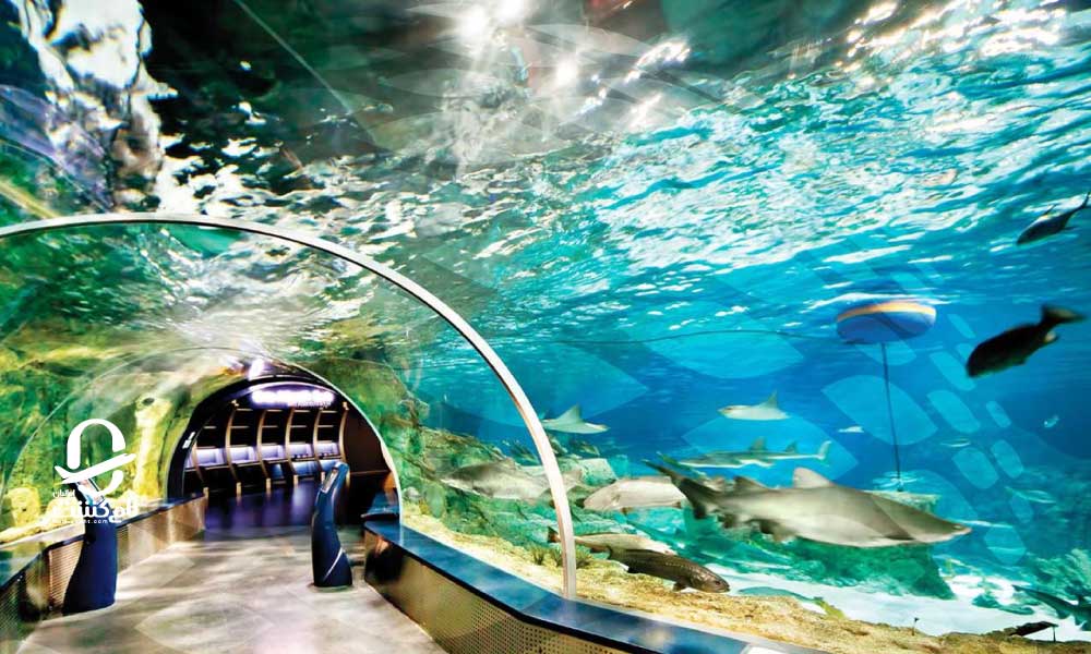 آکواریوم استانبول