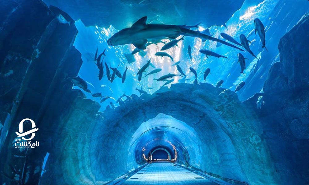 آکواریوم دبی