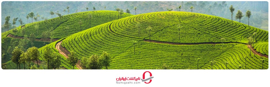 سواحل کرالا هند (Kerala)