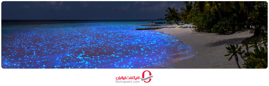 ساحل جزیره وداهو