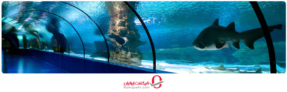 آکواریوم آنتالیا