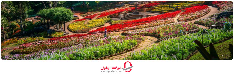 فستیوال رنگ‌های دوی تونگ