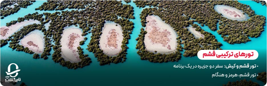 تورهای ترکیبی و ویژه قشم