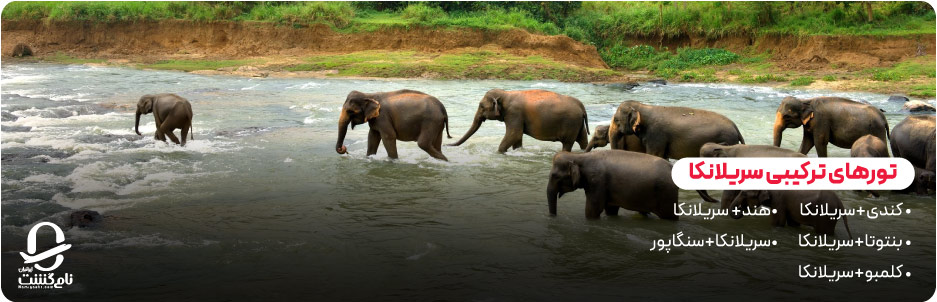 تورهای ترکیبی و ویژه سریلانکا