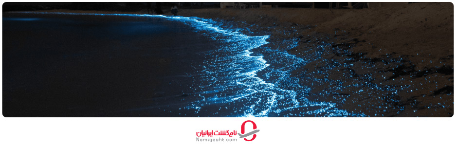 هزینه بازدید از جاذبه‌های گردشگری مالدیو