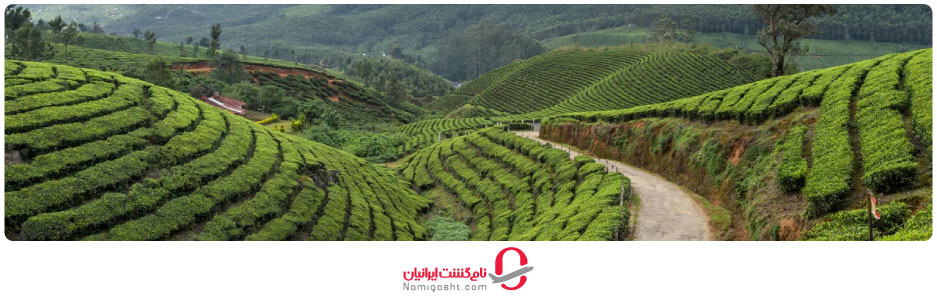 دره دارجیلینگ