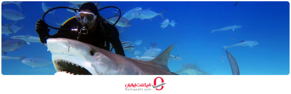 غواصی با کوسه‌ها