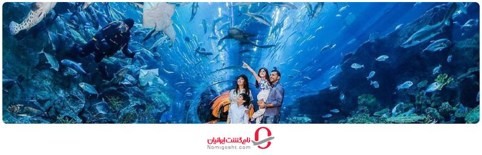 ساعات بازدید و هزینه ورودی آکواریوم استانبول