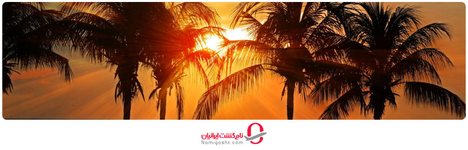 نخلستان‌های هنگام؛ محبوب‌ترین دیدنی جنوب کشور