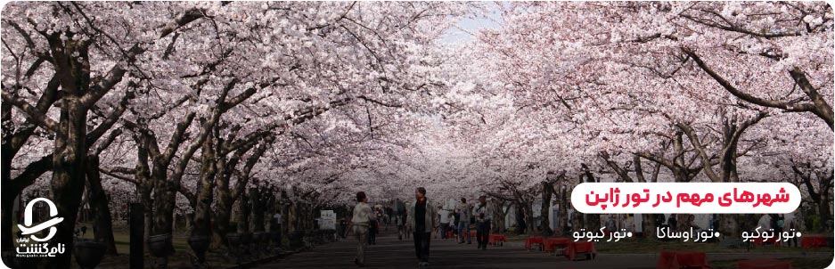 معرفی شهرهای مهم در تور ژاپن