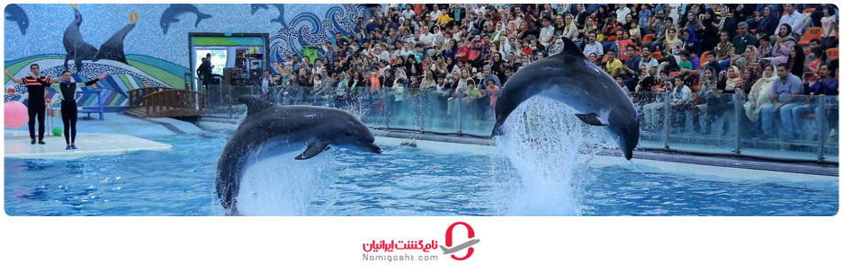 پارک دلفین کیش