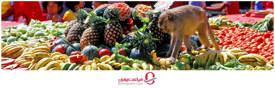 جشنواره بوفه میمون لوبپوری