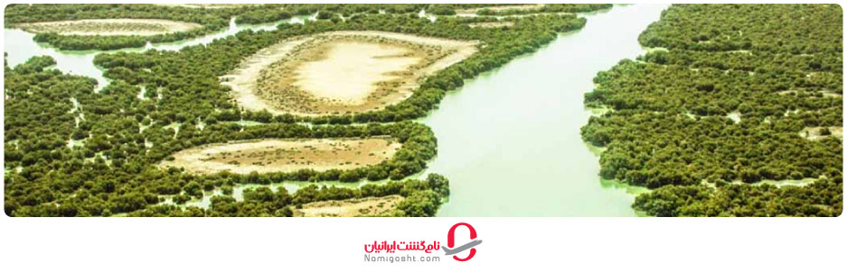 جنگل حرا قشم