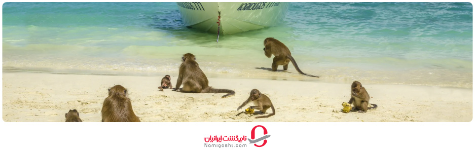 ساحل میمون‌ها