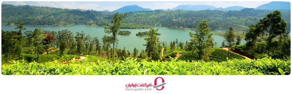 شهر نوارا الیا