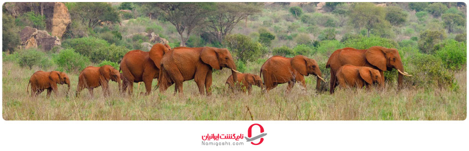 جاهای دیدنی کنیا