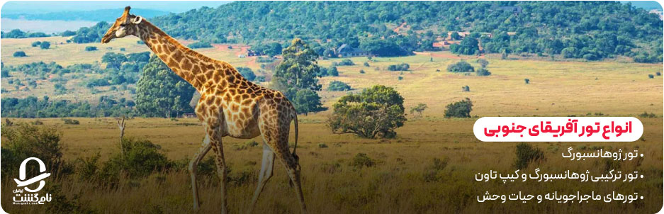 انواع تورهای محبوب آفریقای جنوبی