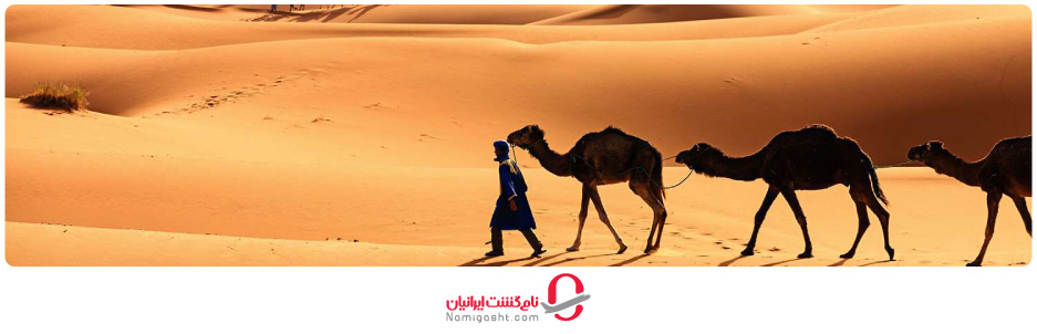 صحرای بزرگ آفریقا