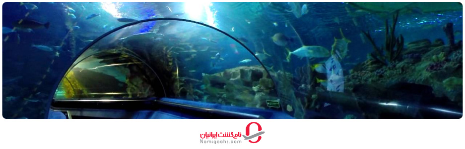 دیدنی‌های موجود در برج‌های دوقلوی پتروناس