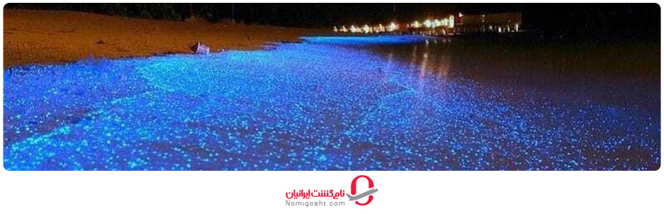 ساحل نقره‌ای هنگام