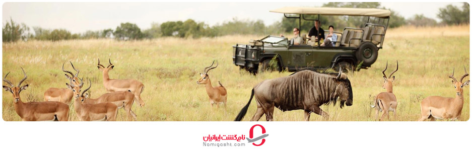 جاذبه‌های دیدنی و شگفت انگیز آفریقای جنوبی 