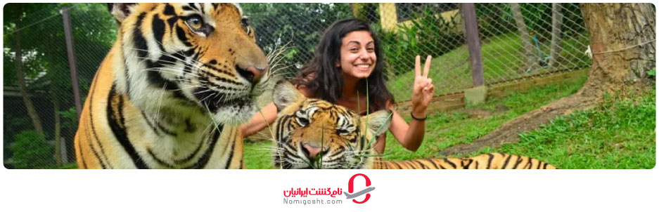 باغ وحش تایگر کینگدام پوکت