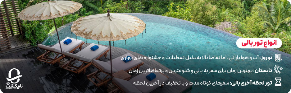 انواع تور بالی