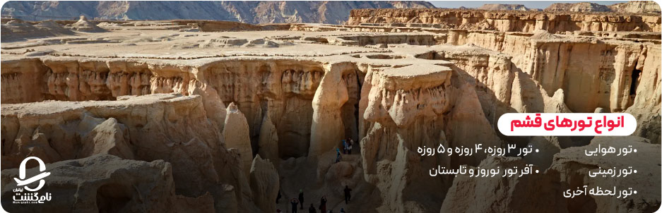 انواع تور قشم