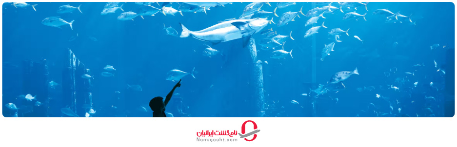 آکواریوم شهر دبی کجاست