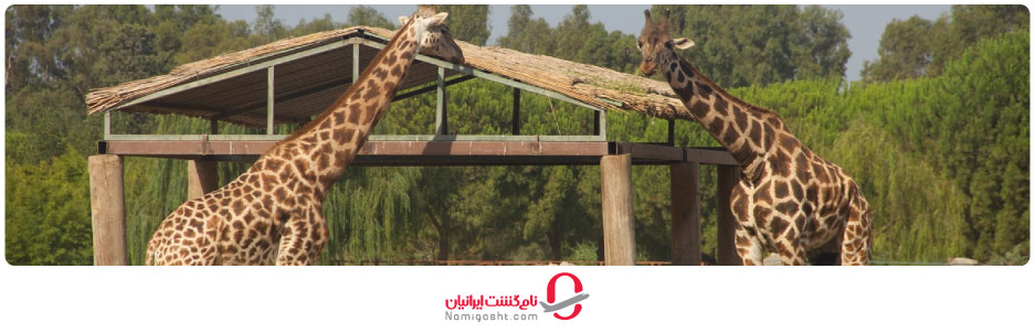 هنگام سفر به ازمیر کجا برویم