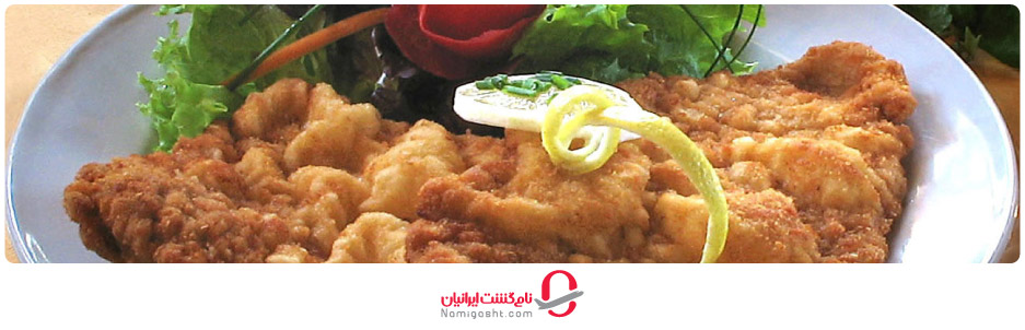 وینار شنیتزل