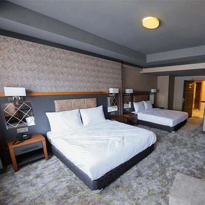 Hotel taht palace van